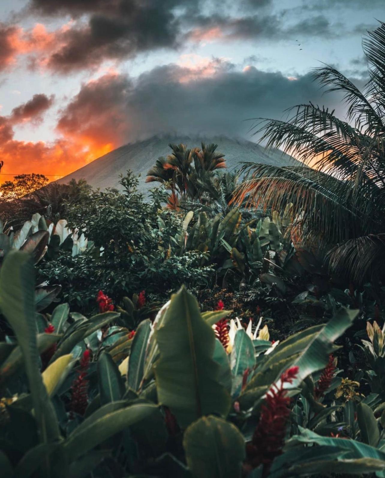 Villa Tucan La Fortuna 외부 사진