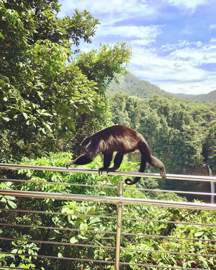 Villa Tucan La Fortuna 외부 사진